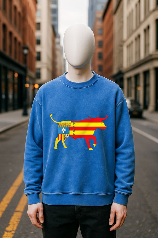 Sudadera azul Lavada