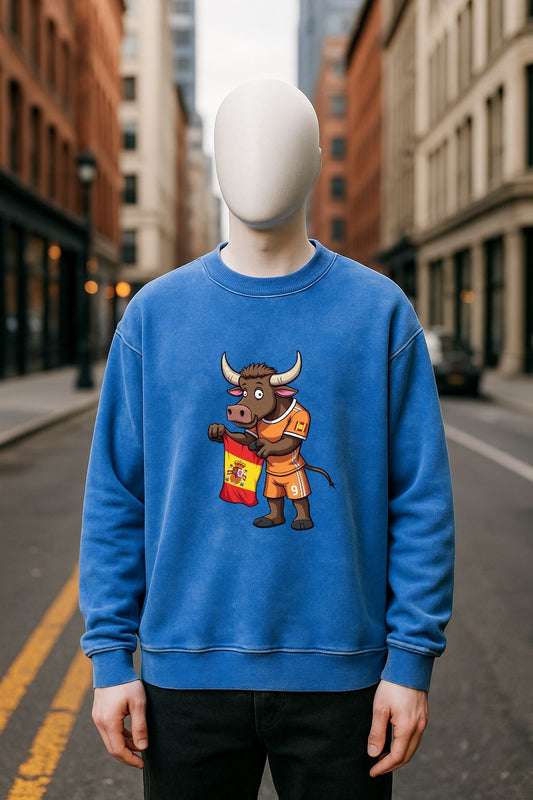 Sudadera azul Lavada